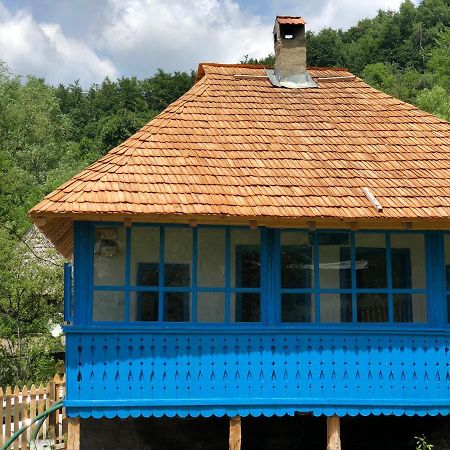 Casa Albastra Villa Băile Olăneşti Kültér fotó