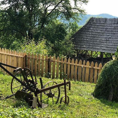 Casa Albastra Villa Băile Olăneşti Kültér fotó