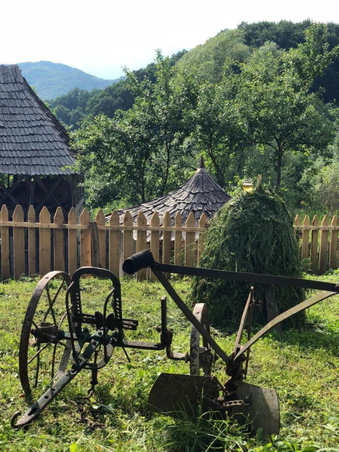 Casa Albastra Villa Băile Olăneşti Kültér fotó