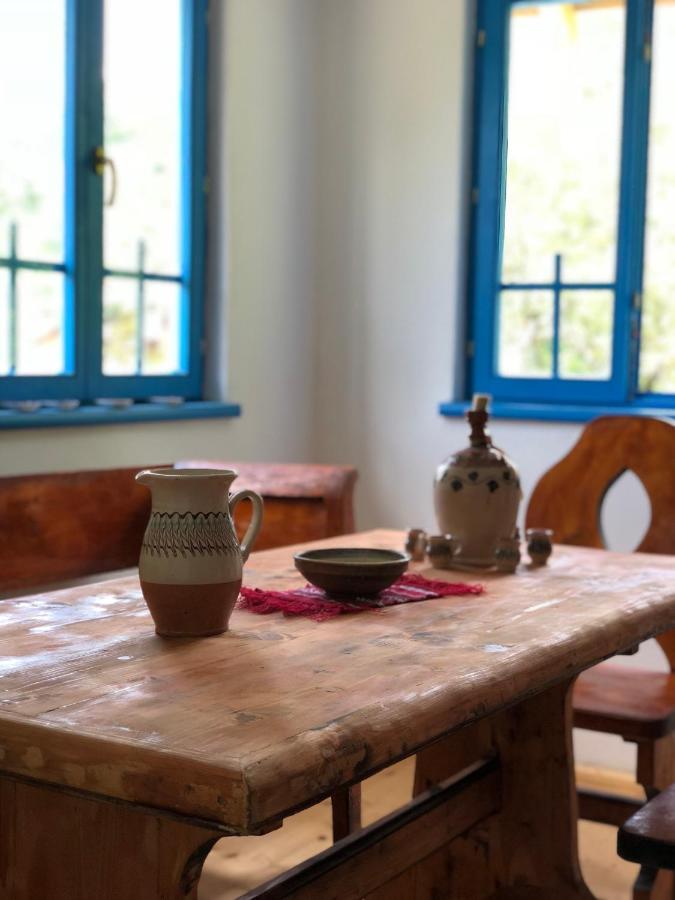 Casa Albastra Villa Băile Olăneşti Kültér fotó