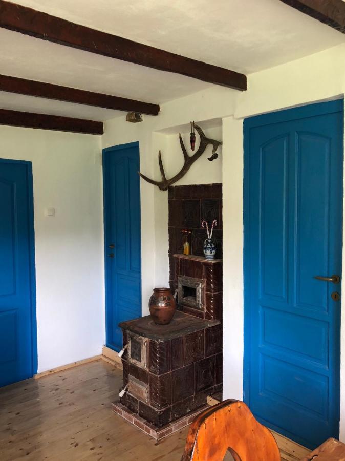 Casa Albastra Villa Băile Olăneşti Kültér fotó