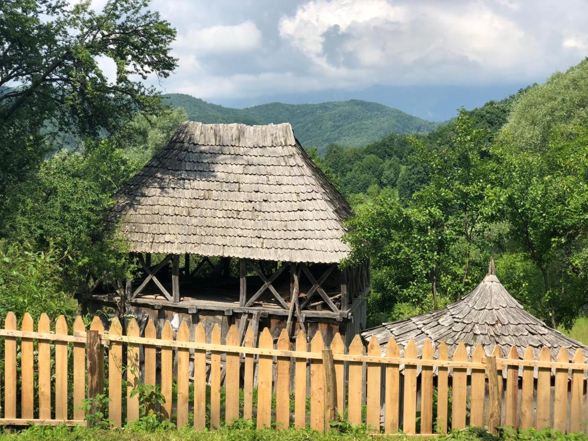 Casa Albastra Villa Băile Olăneşti Kültér fotó