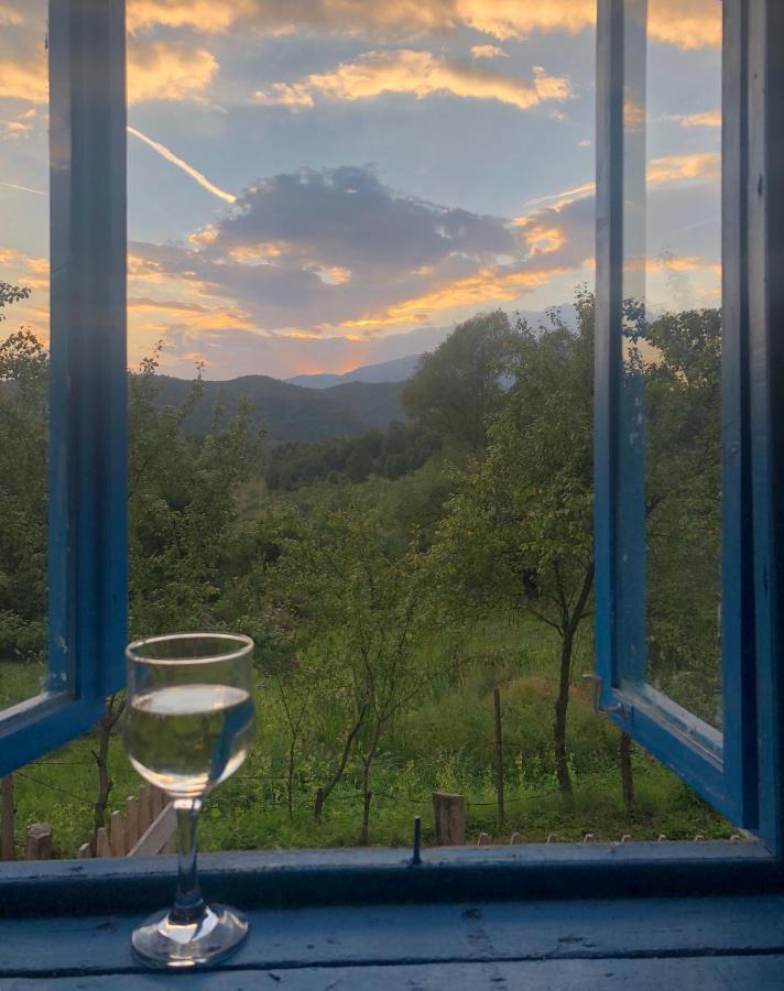 Casa Albastra Villa Băile Olăneşti Kültér fotó