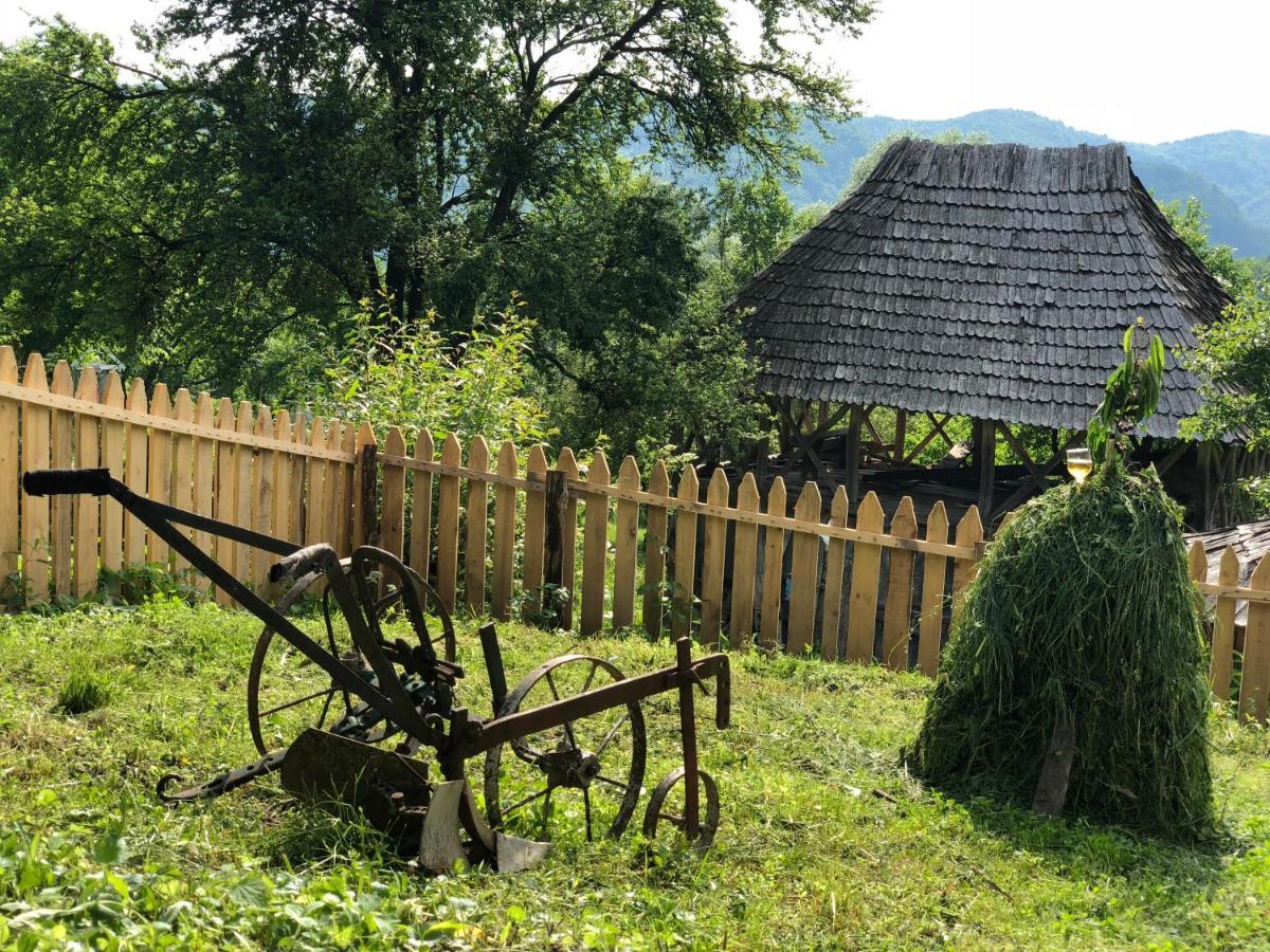 Casa Albastra Villa Băile Olăneşti Kültér fotó